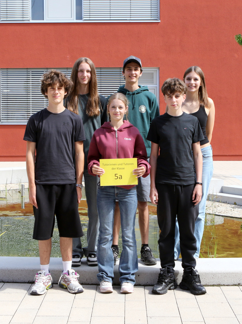 5a